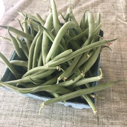 Urban Earth Farms - Green beans