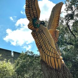 University of North Florida