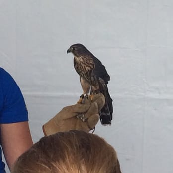 Project Wildlife - Animal Shelters Near Me - San Diego, California