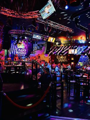 Cabo Wabo Cantina by null