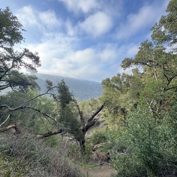Maisie's Peak - Hiking Near Me - Saratoga, California Maisie's Peak - Hiking Near Me - Saratoga, California