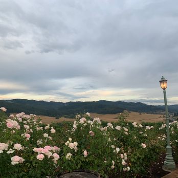 Sweet Cheeks Winery - The view!! - Wineries Near Me - Eugene, Oregon Sweet Cheeks Winery - The view!! - Wineries Near Me - Eugene, Oregon