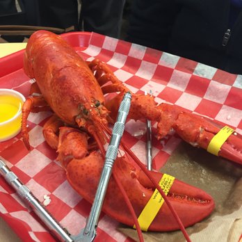 James Hook & Co - 1.25 lb (small) lobster - Seafood Near Me - Boston, Massachusetts James Hook & Co - 1.25 lb (small) lobster - Seafood Near Me - Boston, Massachusetts