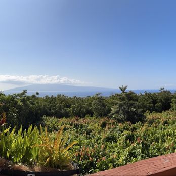 Maui Chocolate Tour - Chocolate farm - Food Tours Near Me - Lahaina, Hawaii Maui Chocolate Tour - Chocolate farm - Food Tours Near Me - Lahaina, Hawaii