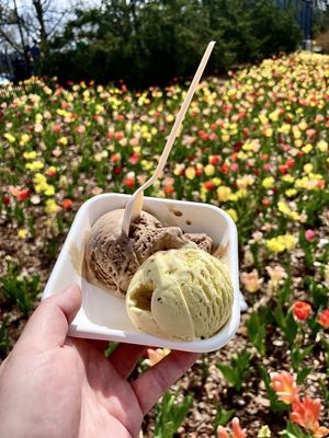 Sarabhas creamery - Ice cream & chai/coffee shoppe by null
