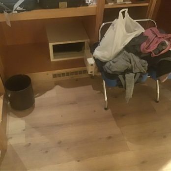 Hotel Drei Löwen - Cock roaches - Hotels Near Me - Munich, BY