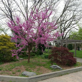 General Getty Neighborhood Park - Parks Near Me - Silver Spring, Maryland