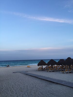 Iberostar Waves Tucan by null