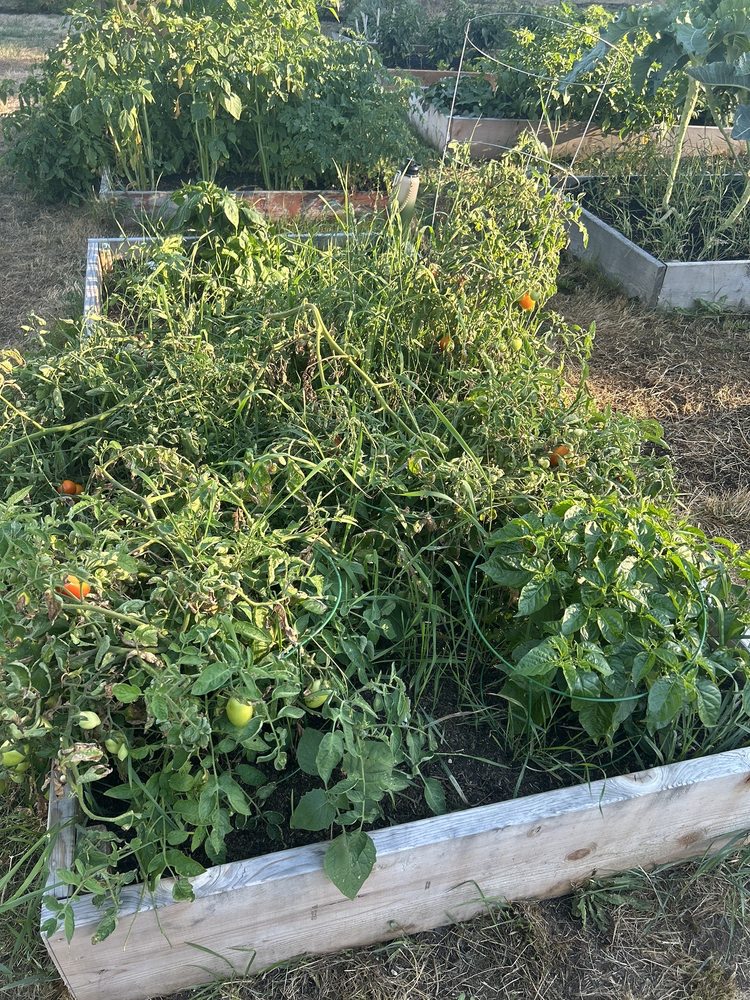 Dometop Community Garden Logo