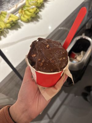 21 Choices Frozen Yogurt by null