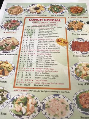 Menu photo 8 China One Oviedo, FL Menu photo 8 China One Oviedo, FL