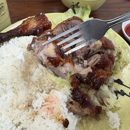 Roast duck with rice plate
