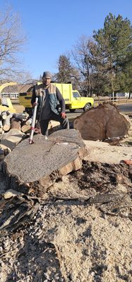 Tree Removal - Tree Removal done quick but also safely! Tree Removal - Tree Removal done quick but also safely!
