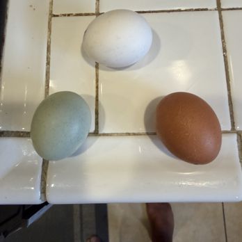 Ranch Egg store - Specialty Food Near Me - Chino, California Ranch Egg store - Specialty Food Near Me - Chino, California