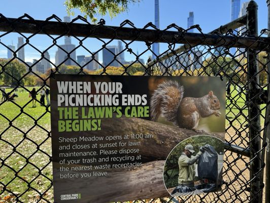 Sheep Meadow by null