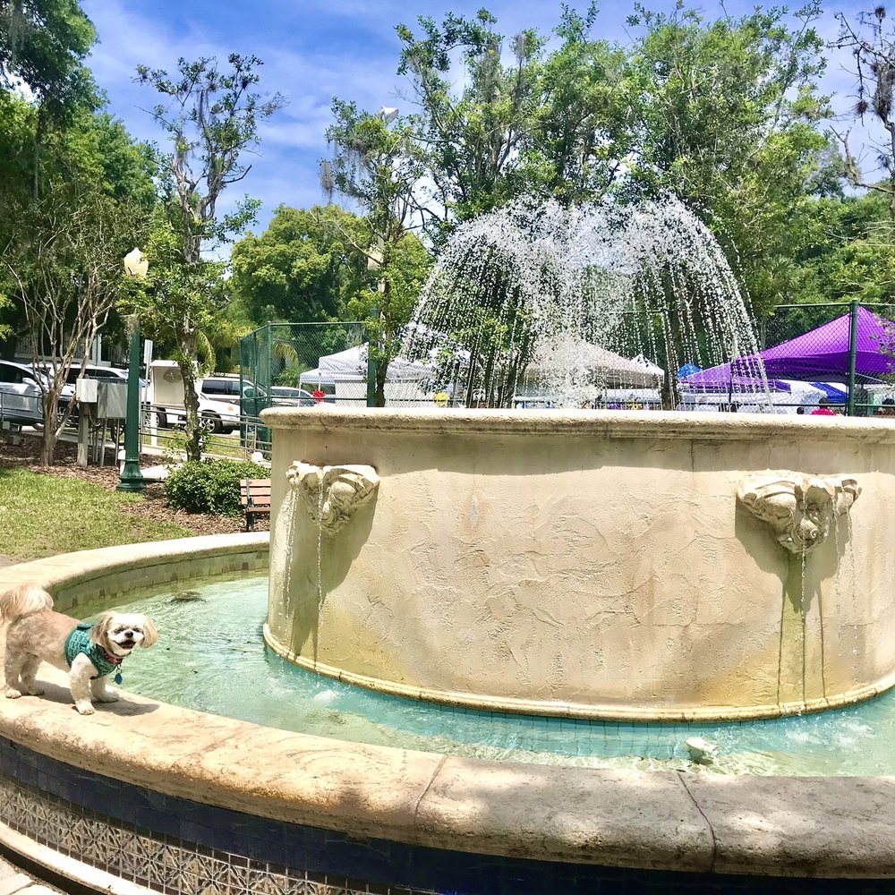 Donnelly Park - Mocha Coconut loving the water fountain - Parks Near Me - Mount Dora, Florida
