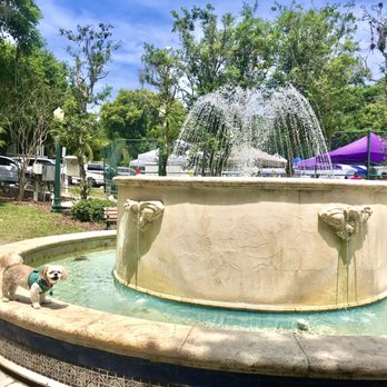 Donnelly Park - Mocha Coconut loving the water fountain - Parks Near Me - Mount Dora, Florida