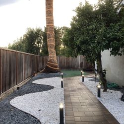 Patricio's Landscaping & Gardening - Light on palm tree