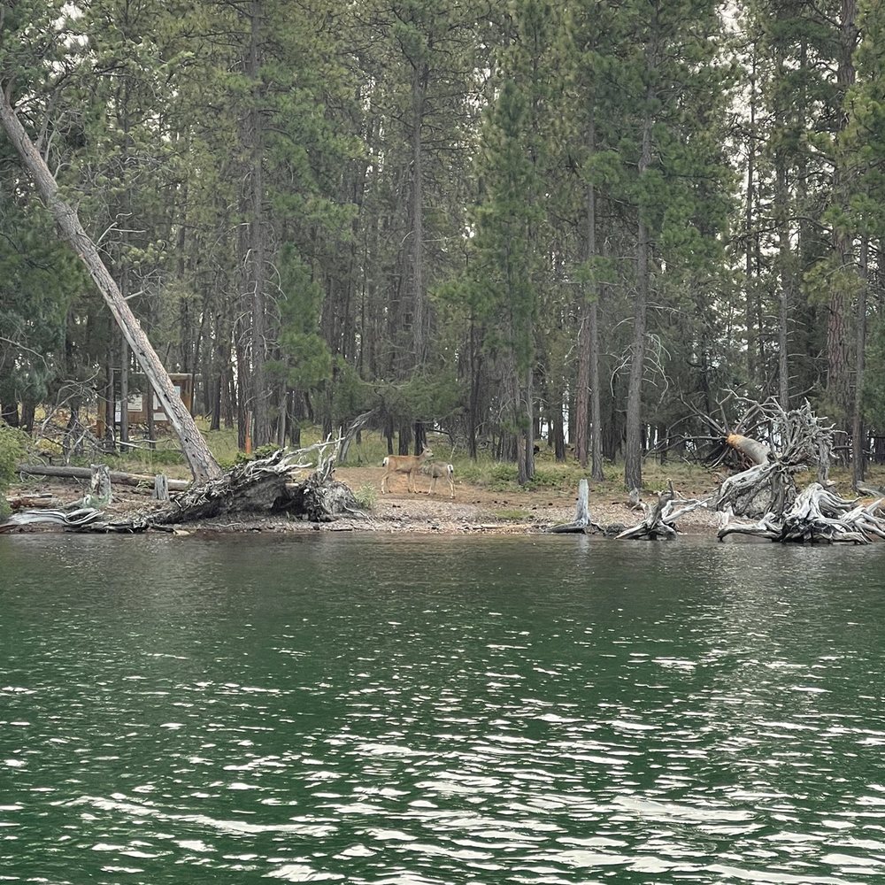 Flathead Boat Company - Wild horse island - Boating Near Me - Polson, Montana