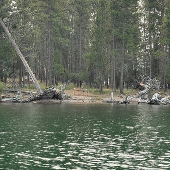 Flathead Boat Company - Wild horse island - Boating Near Me - Polson, Montana