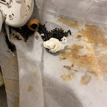 Security Public Storage - Rat feces and urine in my unit. - Self Storage Near Me - Pinole, California