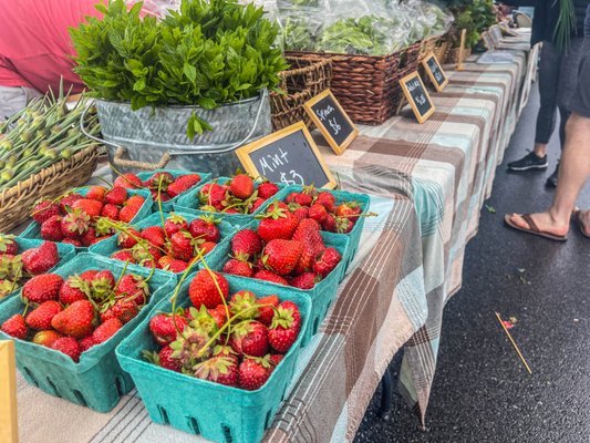 Old Beach Farmers Market by null