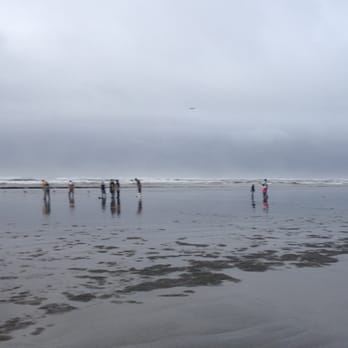 Ocean City Beach Access Area - Beaches Near Me - Ocean Shores, Washington Ocean City Beach Access Area - Beaches Near Me - Ocean Shores, Washington