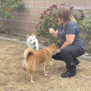 MTM K-9 - Pet Training Near Me - San Bernardino, California