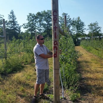 Libby & Son U-Pick - Aaron Libby provided some great information about the orchard. - Pick Your Own Farms Near Me - Limerick, Maine
