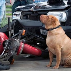 Ali Golchin Workers Comp & Accident Attorney