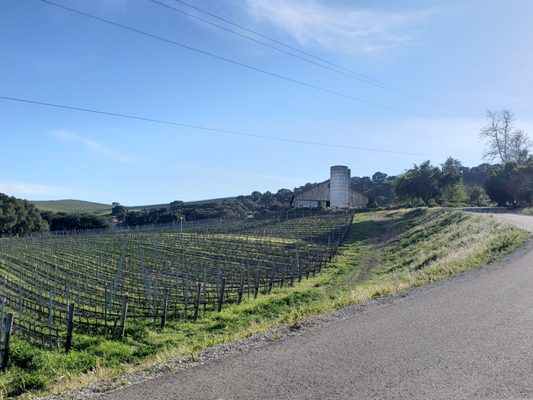 Spear Vineyards and Winery by null