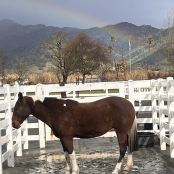 Tamber Bey Vineyards - Wineries Near Me - Calistoga, California