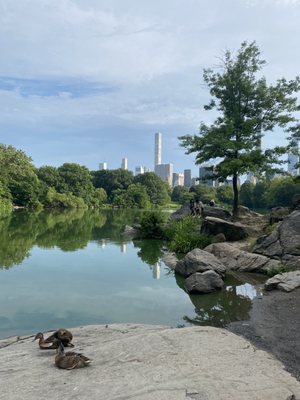 Ladies Pavilion by null