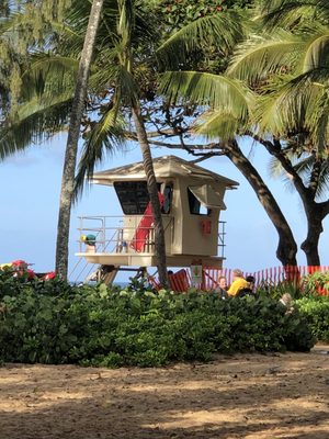 ʻEhukai Beach Park by null