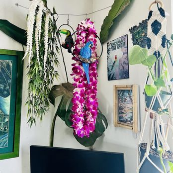 Lily's Flowers - Graduation Lei - Florists Near Me - Santa Barbara, California Lily's Flowers - Graduation Lei - Florists Near Me - Santa Barbara, California