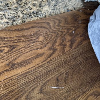 Evergreen Cleaning Services - Home Cleaning Near Me - Bayonne, New Jersey