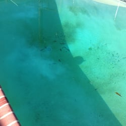 Del Rosa Pool Supply - See for yourself.