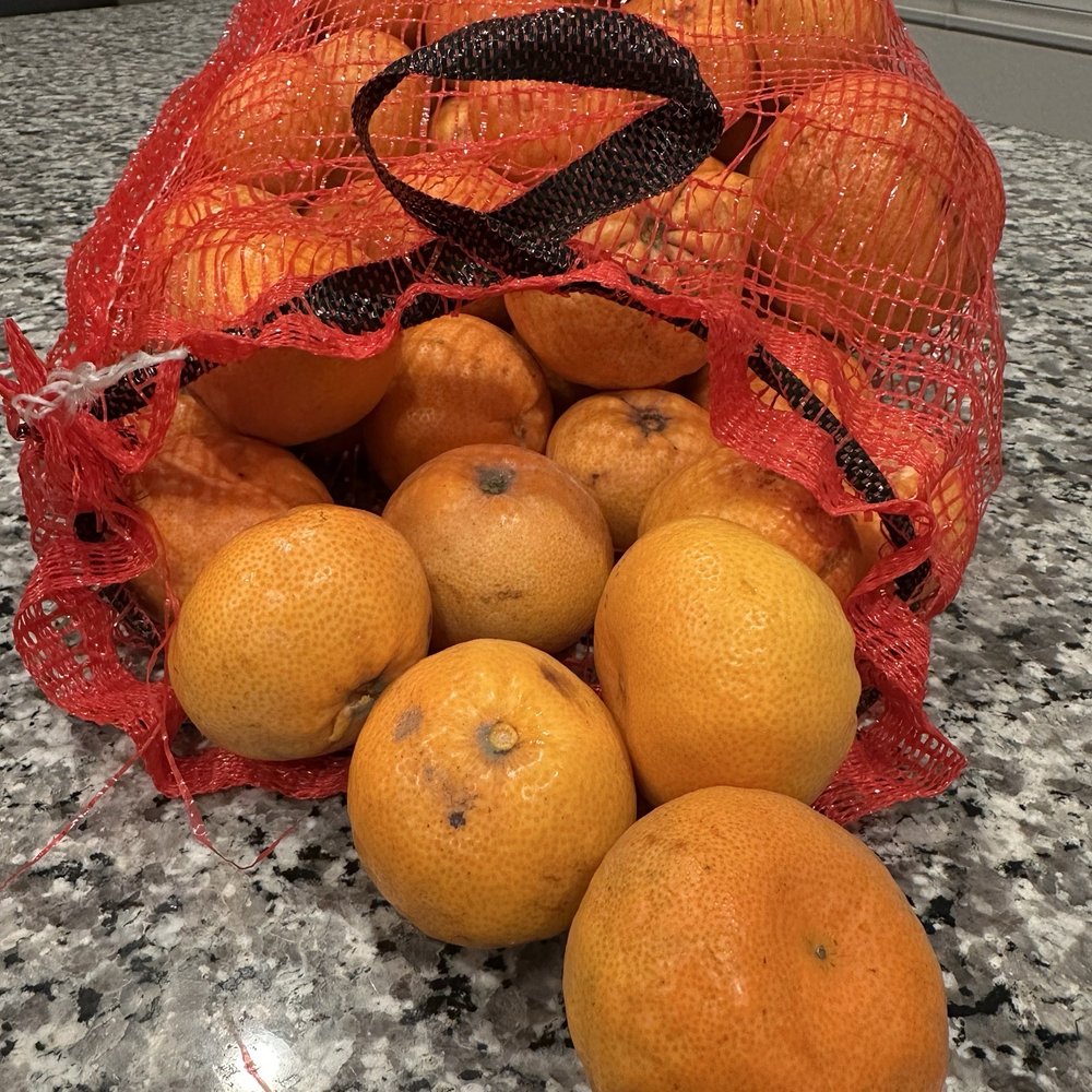 Sunmist Tangerine Farm - It's $20 for the bag and you pick your own fruit - Pick Your Own Farms Near Me - Temecula, California