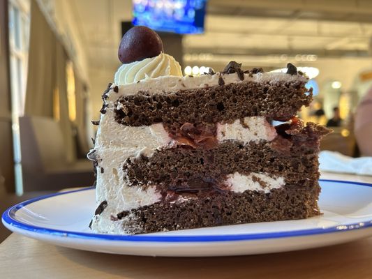 Bierkeller Brewing Company by null