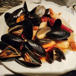Bistro 44 - Cioppino gave me severe food poisoning!