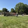 D&Y Tree Service