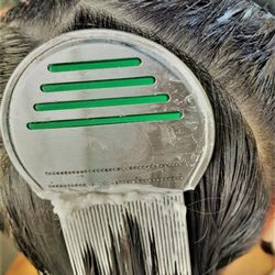 Lice's Doomsday