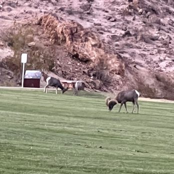 Hemenway Valley Park - Recreation Centers Near Me - Boulder City, Nevada Hemenway Valley Park - Recreation Centers Near Me - Boulder City, Nevada