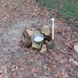Emily Douglas Dog Park