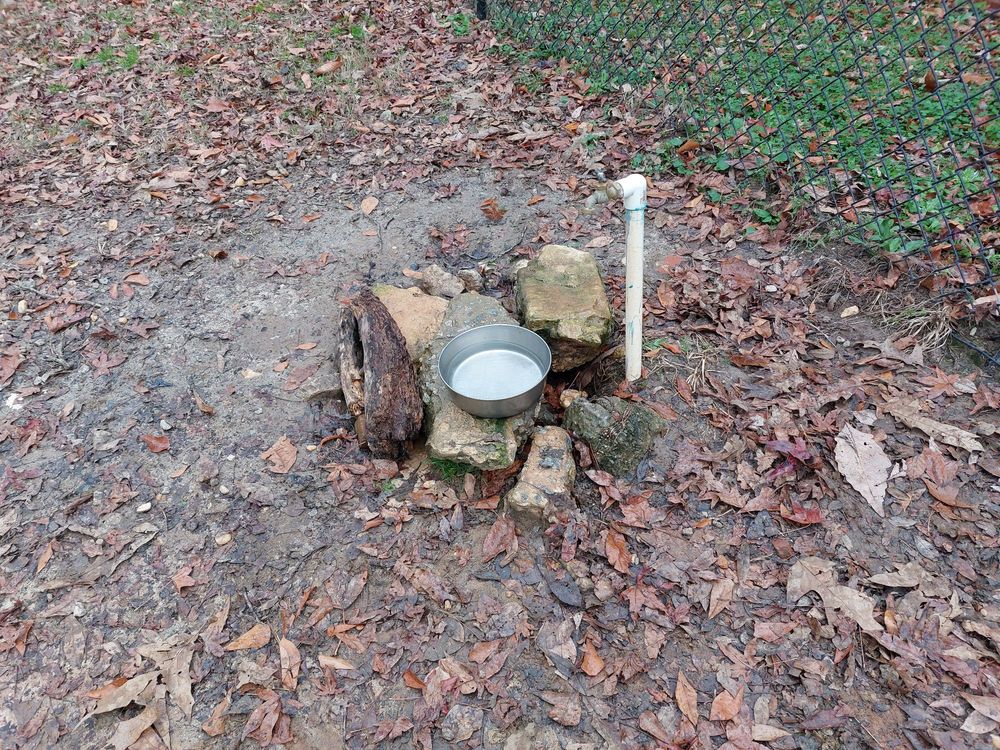 Emily Douglas Dog Park