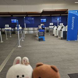 United Airlines - 7.29.24