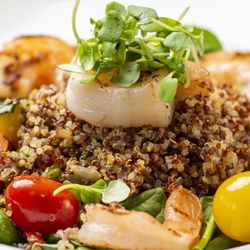 Shell Point Retirement Community - With new additions, renovations and menu changes; if you haven't dined at Shell Point recently, you haven't dined at Shell Point!