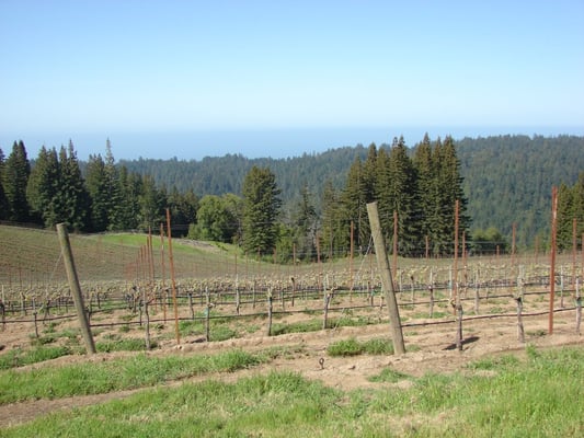 Hirsch Vineyards Tasting Room by null