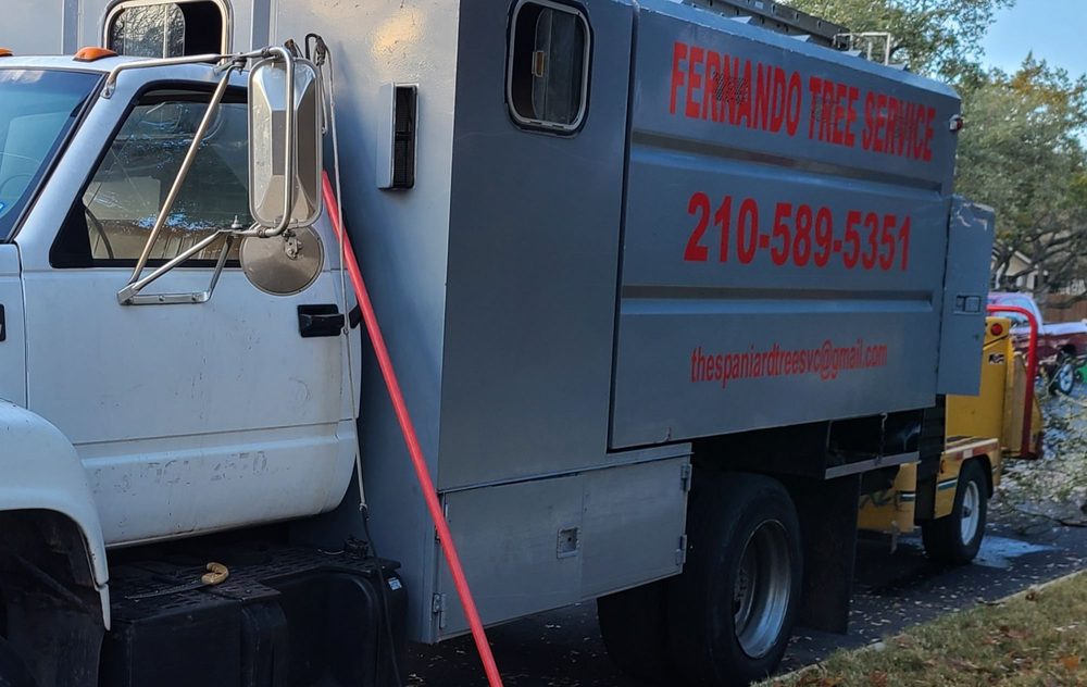 Fernando The Spaniard Tree Service - tree service in San Antonio, TX