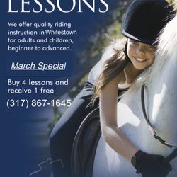 Sport Horse - Early Bird Riding Lesson Special!
